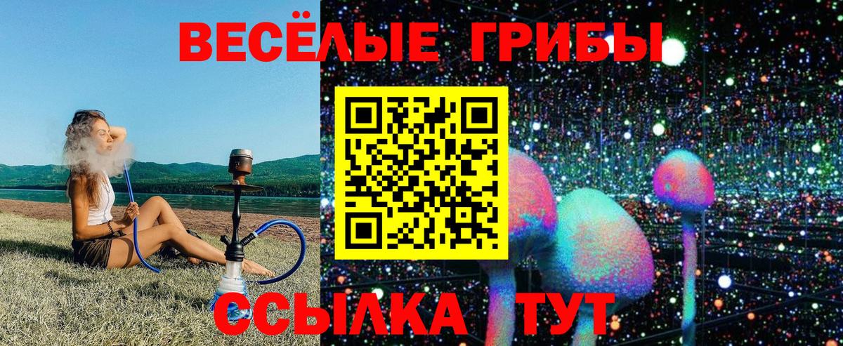 Галлюциногенные грибы мицелий  Вход с VPN  Кашира 